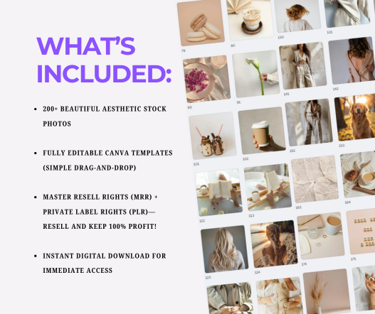 Aesthetic Neutral Natural Stock Photos
