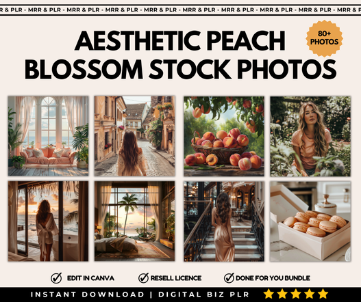 Aesthetic Peach Blossom Stock Photos