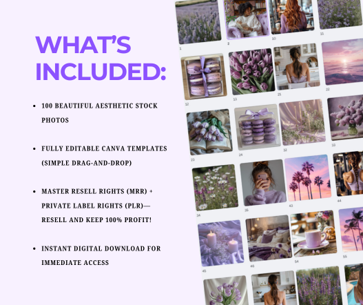 Complete Aesthetic Stock Photos Bundle