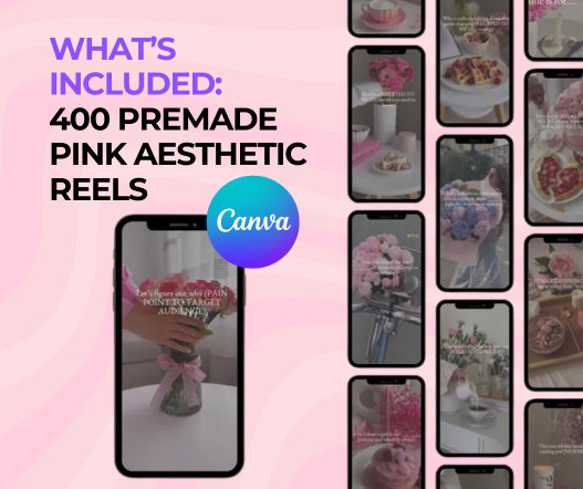 550 Pink Aesthetic Reels Bundle PLR