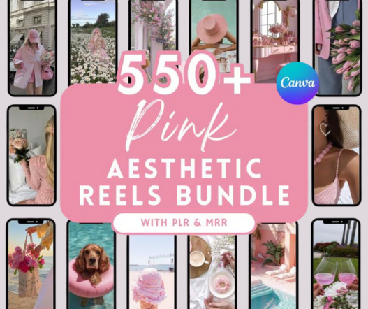 550 Pink Aesthetic Reels Bundle PLR