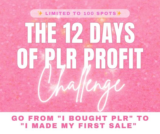 12 Days of PLR Profit Challenge - Launch Your PLR Business in 12 Days