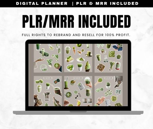 50+ Aesthetic Canva Elements & Digital Stickers with Master Resell Rights