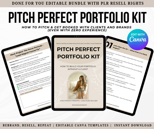 Mock Project Prompts + Case Study Builder for Beginners (PLR Included)
