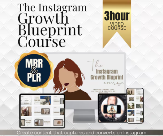 Instagram Growth Blueprint Course | Mini Masterclass - Instagram For Business Owners