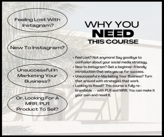 Instagram Growth Blueprint Course | Mini Masterclass - Instagram For Business Owners