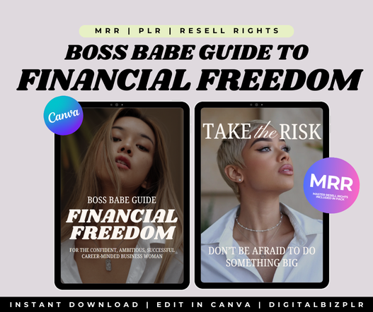 Boss Babe Financial Freedom EBook Guide PLR