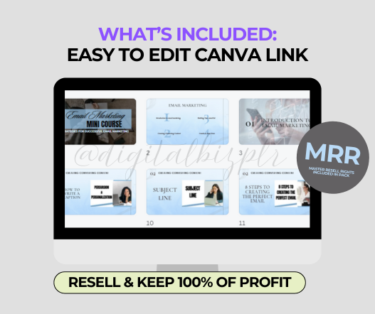 Email Marketing MINI Course PLR