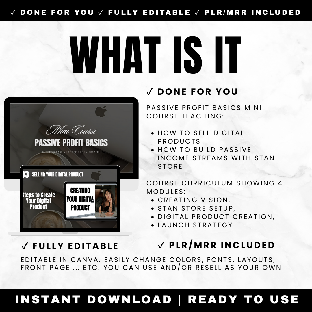 Passive income course curriculum showing 4 modules: creating vision, Stan Store setup, digital product creation, and launch strategy
